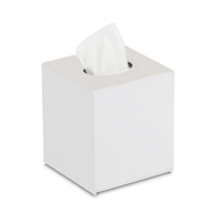 uae/images/productimages/al-mas-cleaning-mat-trdg-llc/facial-tissue-paper/facial-tissue-2-ply-cube-white-box.webp