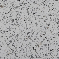 uae/images/productimages/al-mina-marble-&-granite-trading-llc/terrazzo-slab/kalingastone-docks-grey-terrazo-304-x-125-cm.webp