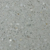 uae/images/productimages/al-mina-marble-&-granite-trading-llc/terrazzo-slab/kalingastone-emperiale-terrazo-304-x-125-cm.webp