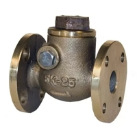 uae/images/productimages/al-moosawi-trading-llc/swing-check-valve/f7372-5k-cast-iron-swing-check-valves.webp