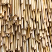 uae/images/productimages/al-qarib-wood-industries-llc/bamboo-stick/bamboo-sticks-100-mm.webp