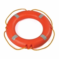 uae/images/productimages/al-safwan-marine/life-ring/lifebuoy-4-kg.webp