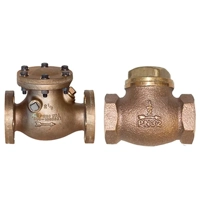 uae/images/productimages/ali-salman-trading-company/check-valve/check-valve-screwed.webp