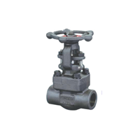 uae/images/productimages/ali-salman-trading-company/gate-valve/forged-steel-valve-1.webp