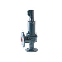 uae/images/productimages/ali-salman-trading-company/safety-valve/safety-valve.webp