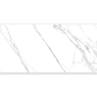 uae/images/productimages/alpha-tiles/porcelain-tile/porcelain-floor-tile-glossy-ap-16802-80-x-160-cm.webp