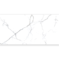 uae/images/productimages/alpha-tiles/porcelain-tile/porcelain-floor-tile-glossy-ap-16807c-80-x-160-cm.webp