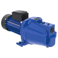 uae/images/productimages/ansons-electromechanical-works/water-pump/neptune-domestic-pumps.webp