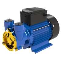 uae/images/productimages/ansons-electromechanical-works/water-pump/saraswati-domestic-pumps.webp