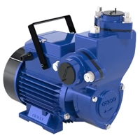 uae/images/productimages/ansons-electromechanical-works/water-pump/triveni-domestic-pumps.webp