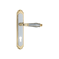 uae/images/productimages/aqmm-general-trading-llc/door-handle/euroart-brass-lever-on-backplate-blb1000-standard.webp