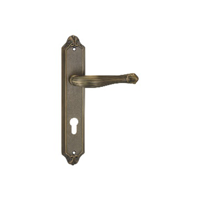 uae/images/productimages/aqmm-general-trading-llc/door-handle/euroart-brass-lever-on-backplate-ebar1000-standard.webp