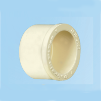 uae/images/productimages/aquaplex-(fze)/pipe-end-cap/cpvc-and-pvc-pressure-fitting-end-cap.webp