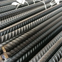 uae/images/productimages/arab-building-materials-co/reinforcing-bar/deformed-steel-bar-8-to-32-mm-12-m.webp