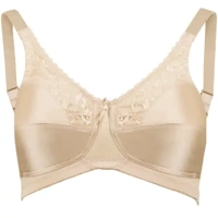 uae/images/productimages/arabian-home-healthcare/brassiere/trulife-maternity-barbarra-bra.webp