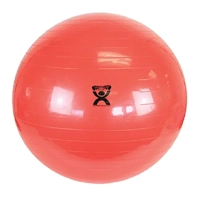 uae/images/productimages/arabian-home-healthcare/exercise-ball/fabrication-entreprises-cando-inflatable-ball.webp