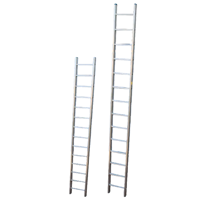 uae/images/productimages/ascend-access-systems-scaffolding-llc/straight-ladder/stright-single-pole-ladder-2530mm.webp