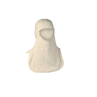 uae/images/productimages/aspire-international-building-materials-trading-llc/protective-hood/balaclava-type-hood.webp
