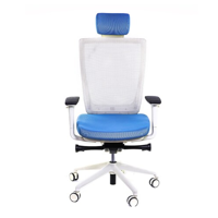 uae/images/productimages/astral-access-gen-trdg-llc---exotic-chairs/office-chair/chair-executive-high-back-trium-5-pcs.webp