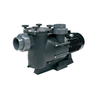 uae/images/productimages/astralux-pools-llc/self-priming-pump/certikin-big-denver-pump.webp