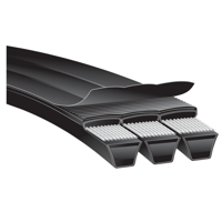 uae/images/productimages/belt-house-general-trading-llc/v-belt/predator-single-v-belt-ap-11-1.webp