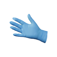 uae/images/productimages/best-care-general-trading-llc/general-purpose-glove/blue-nitrile-gloves-powder-powder-free.webp