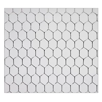 uae/images/productimages/betafence-middle-east/mesh-fencing/hexanet-the-qualitative-twisted-wire-netting-50-mm-13-mm-betafence.webp