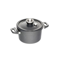 uae/images/productimages/better-life/domestic-steamers/amt-induction-pot-with-lid-and-steamer-24-cm-i-1424-e-set.webp