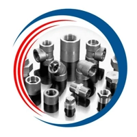 uae/images/productimages/bhavesh-tube-fittings/tube-cap/asme-sa182-duplex-s31803-npt-screwed-cap-1-8-to-4-in.webp