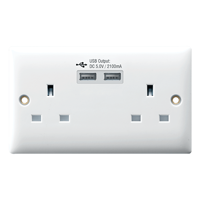 uae/images/productimages/binja-building-materials-trading-llc/switch-socket/rr-13a-2-gang-bs-socket-with-dual-usb.webp