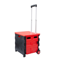 uae/images/productimages/biri-group/foldable-plastic-cart/folding-plastic-cart-ch-40038-r-b.webp