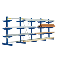 uae/images/productimages/bito-storage-systems-middle-east-dwc-llc/industrial-shelving/cantilever-racking-type-l-double-sided-use.webp