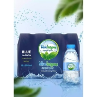 uae/images/productimages/blue-lagoon-mineral-water-trading/drinking-water/bottled-water-250-x-12-ml-bottle.webp