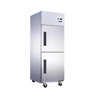 uae/images/productimages/blue-star-international-fzco/commercial-freezer/blue-star-reach-in-chiller-rc2d700gp-112-kg.webp