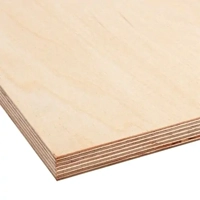 uae/images/productimages/bulls-hardware-llc/plywood-board/gplex-birch-plywood-a-grade-1-22-2-44-m.webp