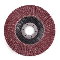 uae/images/productimages/canvas-general-trading-llc/abrasive-flap-wheel/apple-flat-disc-115mm-2pcs-100-grit.webp