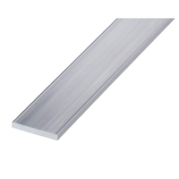 uae/images/productimages/canvas-general-trading-llc/aluminium-flat-bar/aluminium-flat-bar-19-x-1mm.webp