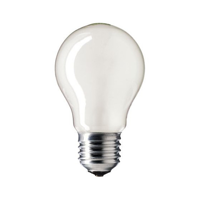 uae/images/productimages/canvas-general-trading-llc/incandescent-bulb/philips-60w-a55-frosted-bulb-e27.webp