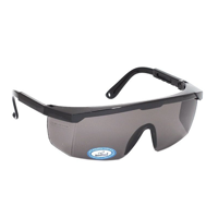 uae/images/productimages/canvas-general-trading-llc/safety-goggle/vaultex-heavy-duty-safety-goggle-glass.webp