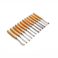 uae/images/productimages/canvas-general-trading-llc/wood-chisel/clarke-12pcs-wood-carving-chisel-set.webp