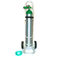 uae/images/productimages/care-source-global/medical-oxygen-cylinder/oxygen-cylinder-170-to-6800-capacity.webp