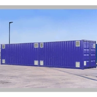 uae/images/productimages/cargostore-worldwide-trading-ltd/dry-freight-container/dangerous-goods-shipping-container-66-6-m3-2200-kg.webp