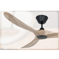 uae/images/productimages/ceilingfan.ae/ceiling-fan/casafan-eco-genuino-ceiling-fan-152-ms-nt.webp
