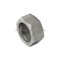 uae/images/productimages/centre-point-hydraulics/welding-accessory/nut-for-welding-nipple-bsp-60-degree-seat.webp