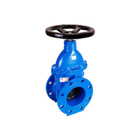 uae/images/productimages/china-national-building-material-group-fze/gate-valve/di-resilient-seat-gate-valve-flanged-dn100.webp