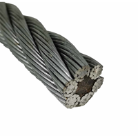 uae/images/productimages/china-national-building-material-group-fze/wire-rope/galvanized-steel-wire-rope-s559989085.webp