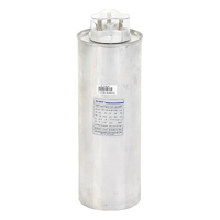 uae/images/productimages/chint-middle-east-and-africa-dmcc/capacitor/nwc6-series-dry-low-voltage-shunt-capacitor.webp
