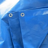 uae/images/productimages/constromech-fzco/tarpaulin/heavy-duty-pe-tarpaulin-sheets-85-150-100-200-gsm.webp