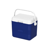 uae/images/productimages/cosmoplast-ind-company-llc/cold-storage-box/10l-keepcold-deluxe-icebox.webp