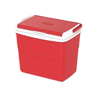 uae/images/productimages/cosmoplast-ind-company-llc/cold-storage-box/10l-keepcold-picnic-icebox.webp